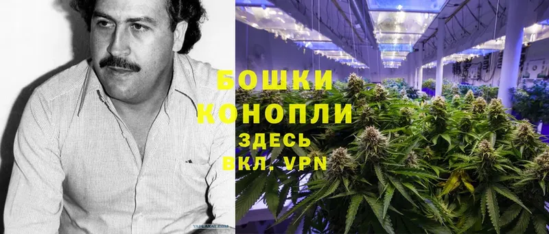 что такое   Данков  Каннабис Bruce Banner 